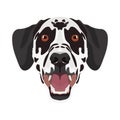 Illustration dog`s head Dalmatian